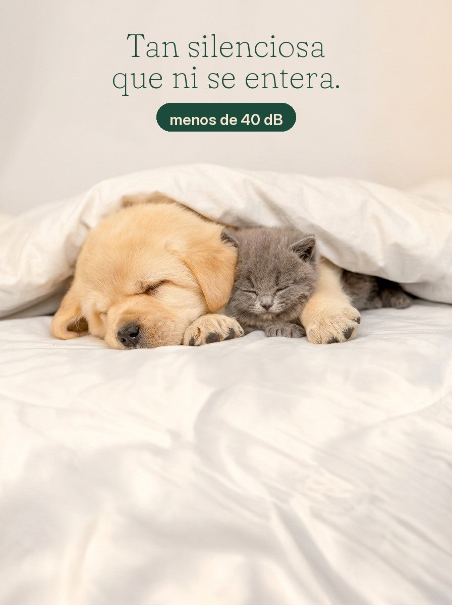 Infografía: lima de uñas silenciosa, menos de 40 dB — cachorro y gatito durmiendo